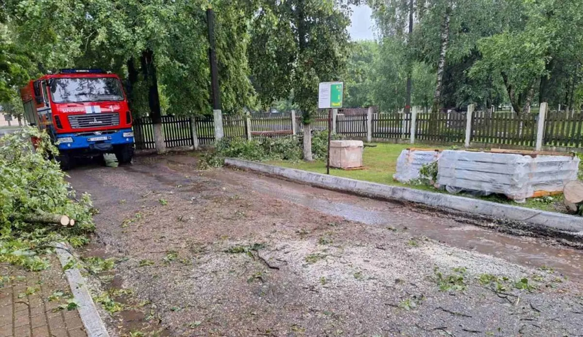 Упавшие деревья и частично без света. Что натворила непогода на Брестчине  19 июня