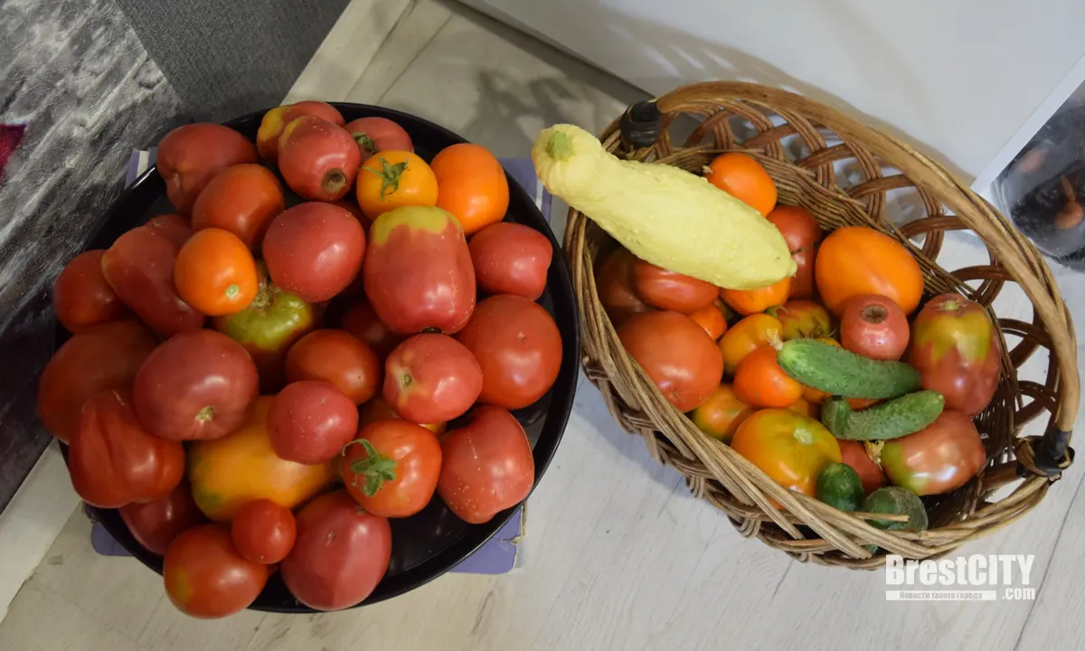 Осень наступает, теперь ждём бабьего лета на фазенде в Дубровке