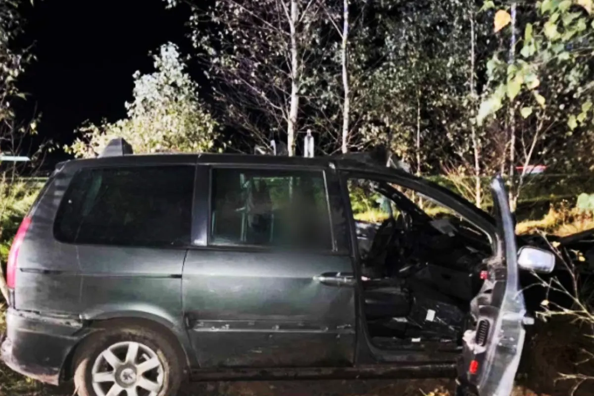 Peugeot врезался в лося на трассе М1 в Барановичском районе. Два человека в больнице
