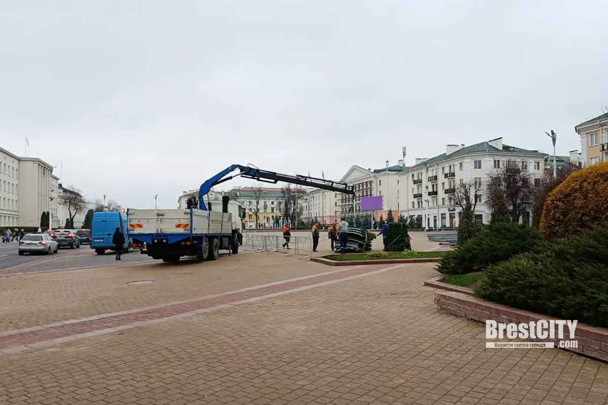 В Бресте начался монтаж главной городской ёлки 2025/26