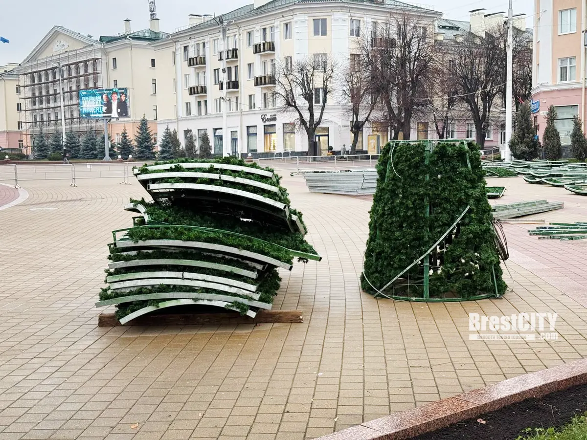 В Бресте начался монтаж главной городской ёлки 2025/26