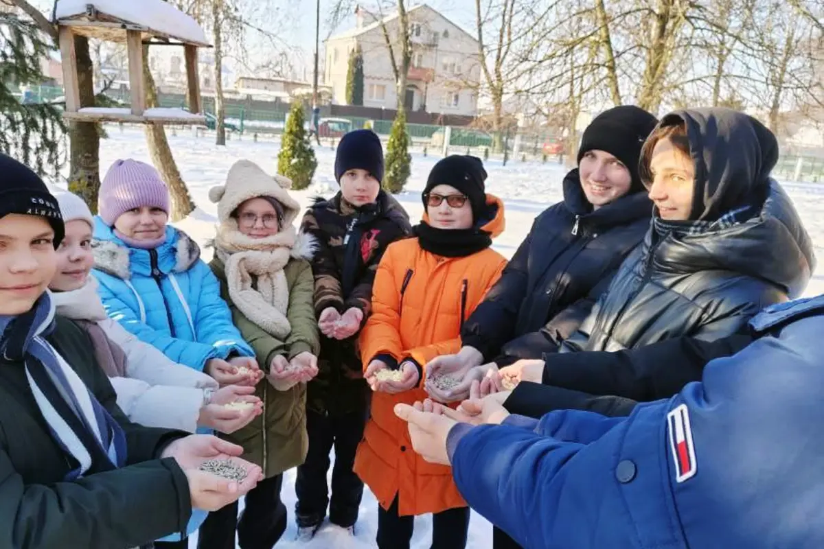 Масштабную подкормку птиц организовали в школах и детских садах Бреста