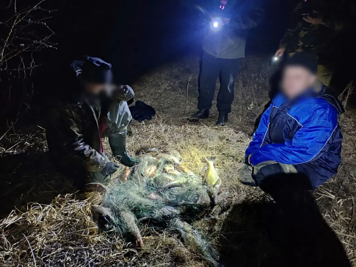 В Пинском районе поймали двух браконьеров. Сколько рыбы они добыли