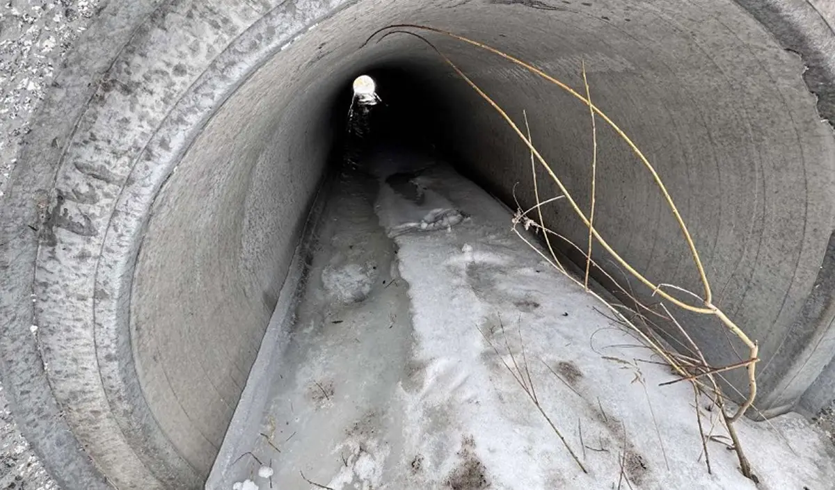 Школьник с 18 летним коллегой спрятали более $20 тысяч под мостом