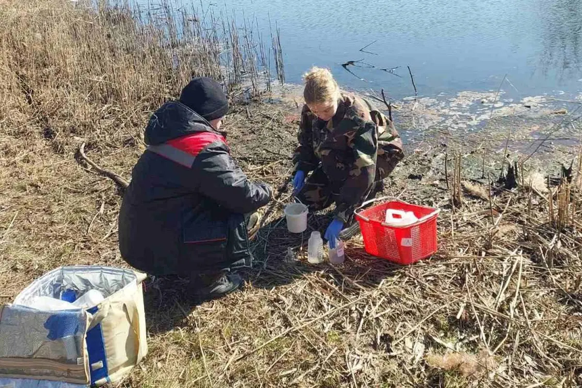 В Лунинце выясняют причину гибели рыбы в прудах Бохоново
