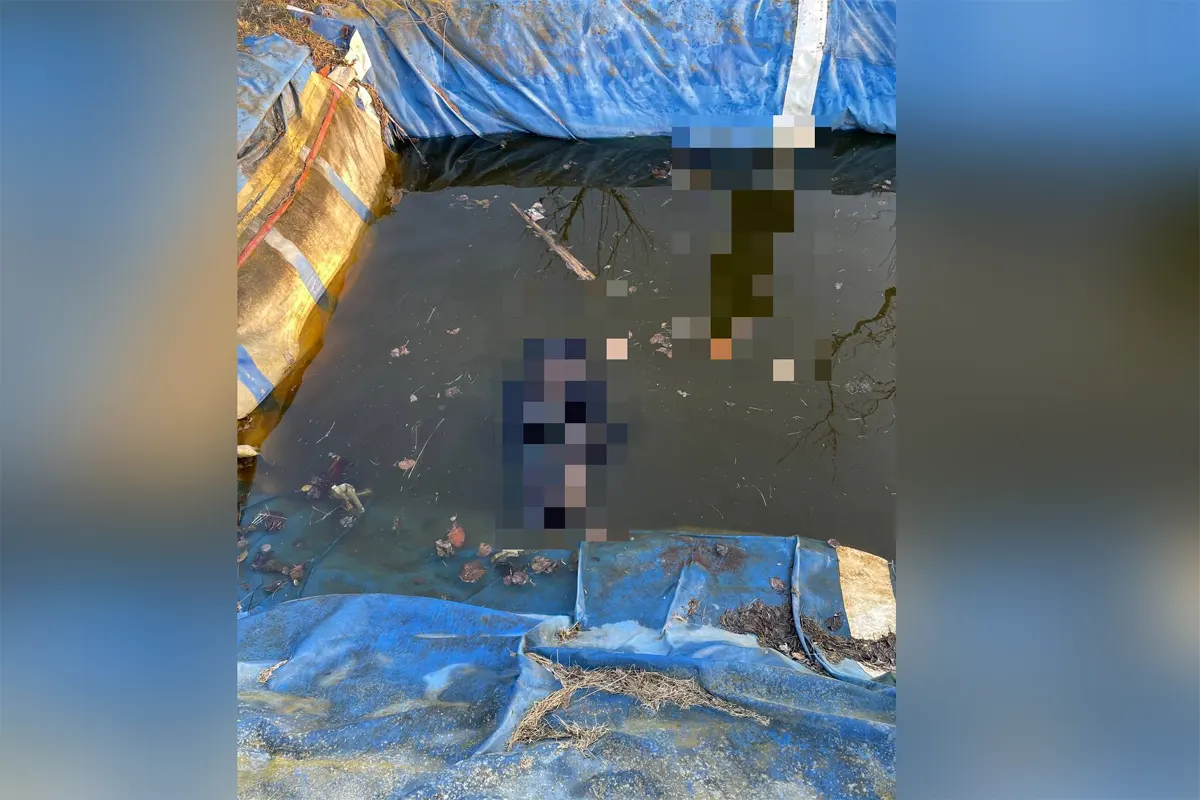 В полуметре от берега. Тело мужчины нашли в искусственном водоеме