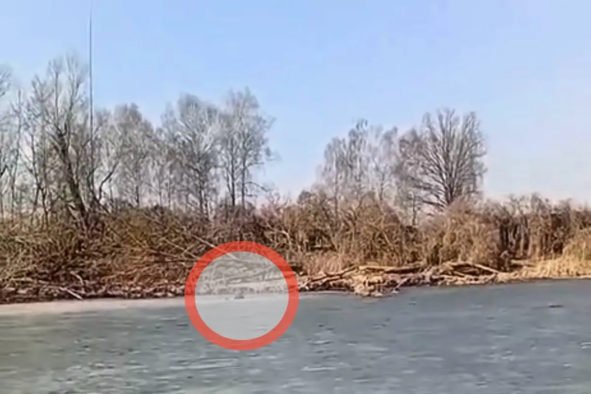 Жабинка. Во время рейда ОСВОД под лёд провалился рыбак