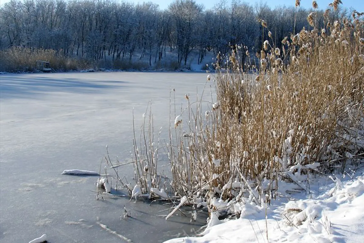 Браконьерство как образ жизни: мужчину арестовали на 2 месяца