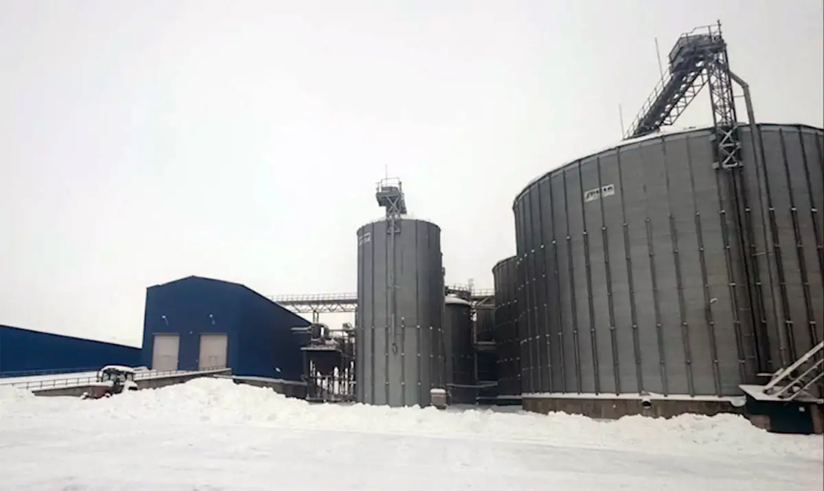 Полтора миллиона на рапсе: схема незаконного заработка в сфере АПК