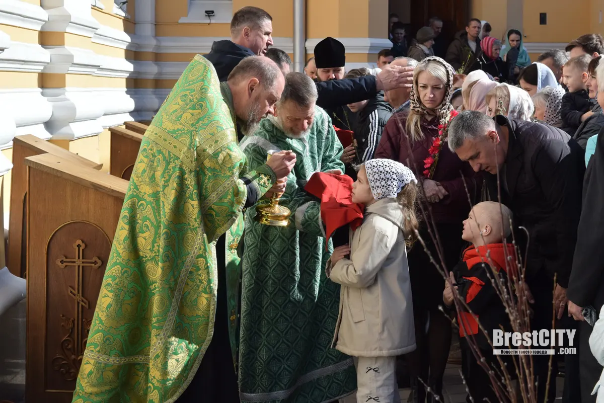 Вербное воскресенье празднуют православные   фото, видео из Бреста