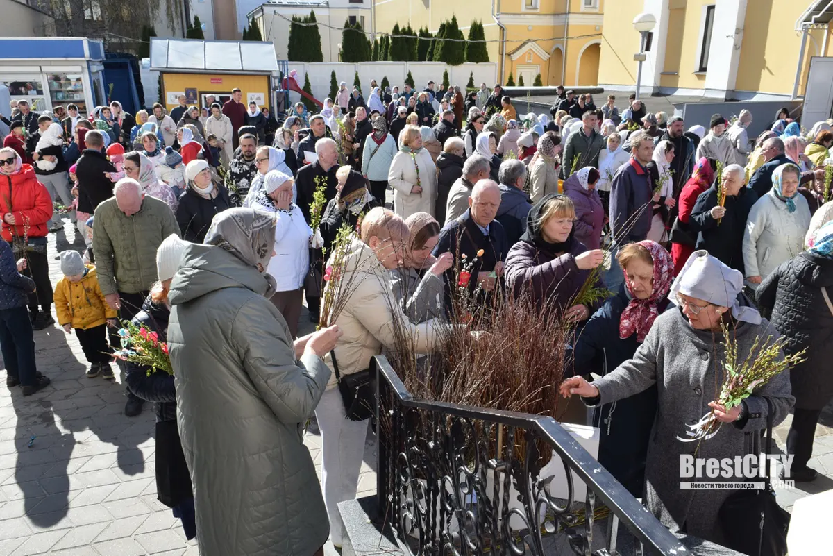 Вербное воскресенье празднуют православные   фото, видео из Бреста
