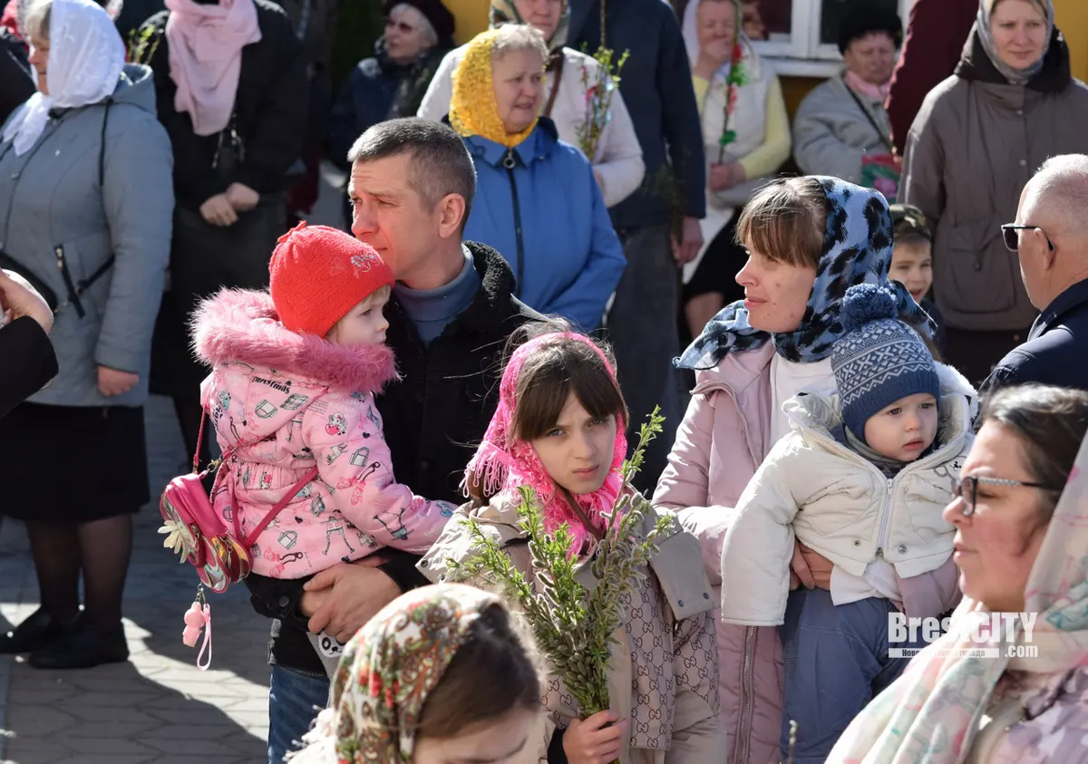 Вербное воскресенье празднуют православные   фото, видео из Бреста