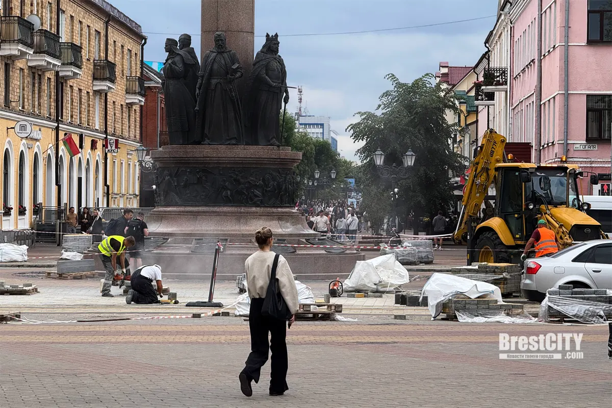 Большая зебра из плитки на Советской Бреста. Вы уже видели?