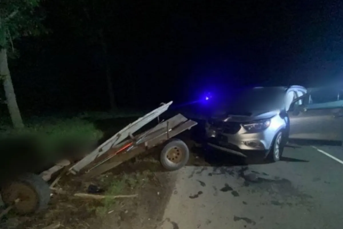 Автомобиль врезался в гужевую повозку   смертельное ДТП в Дрогичинском районе