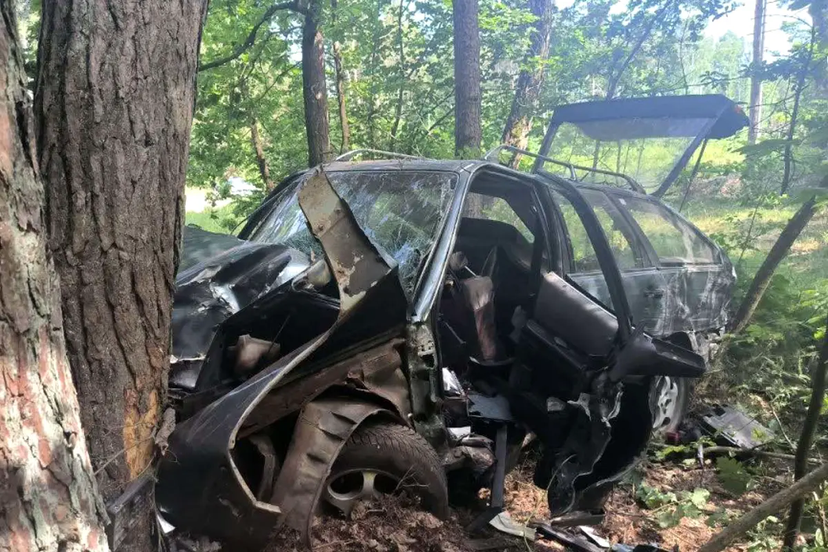 Врезался в дерево. В Брестском районе погиб водитель Audi