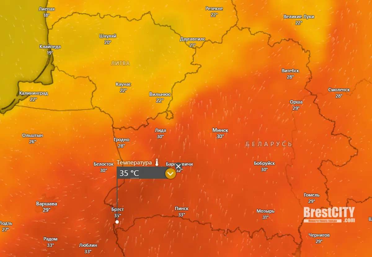 Беларусь накроет тропическая жара: до +37°C на выходных