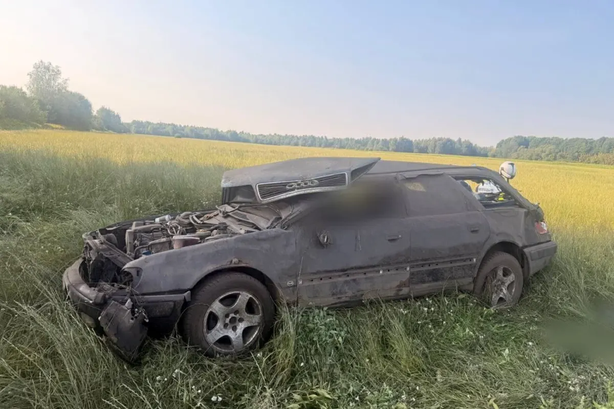 Ночью под Брестом Audi ушла в кювет   водитель погиб