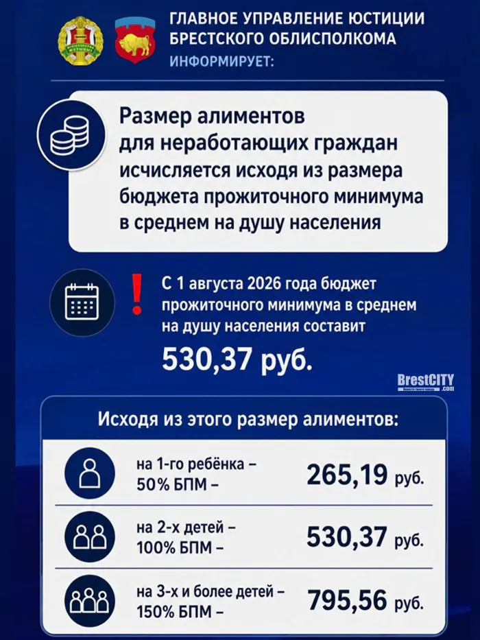 Какой размер алиментов для неработающих граждан в Беларуси   узнали сумму
