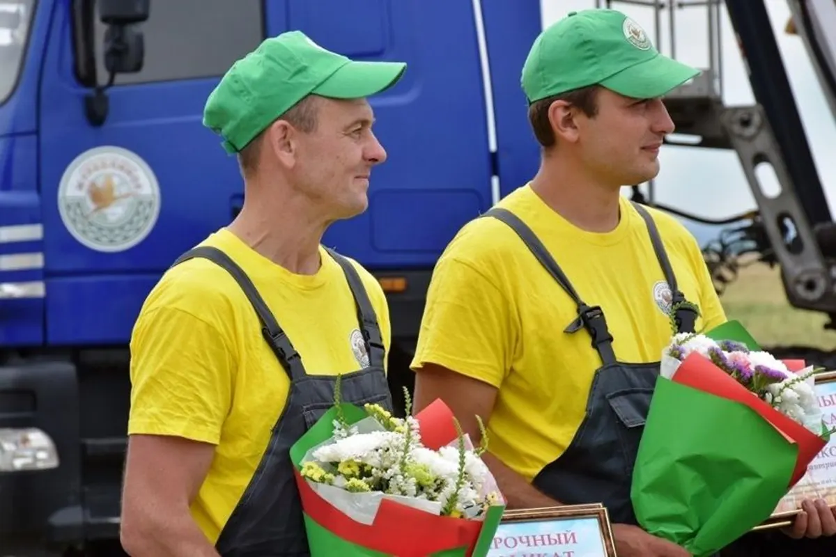 Экипаж комбайна МЧС из Пружанского района о работе во время уборочной