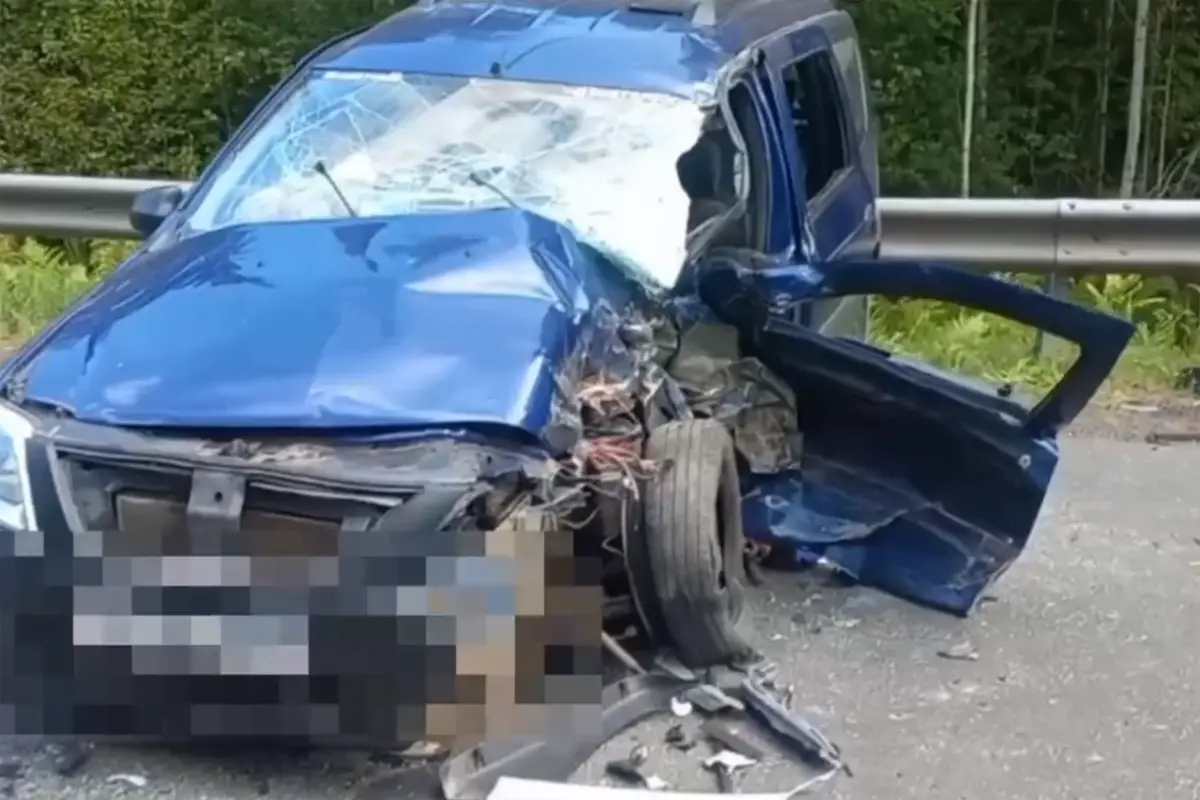 LADA врезалась в МАЗ. Смертельное ДТП на трассе Осиповичи Барановичи