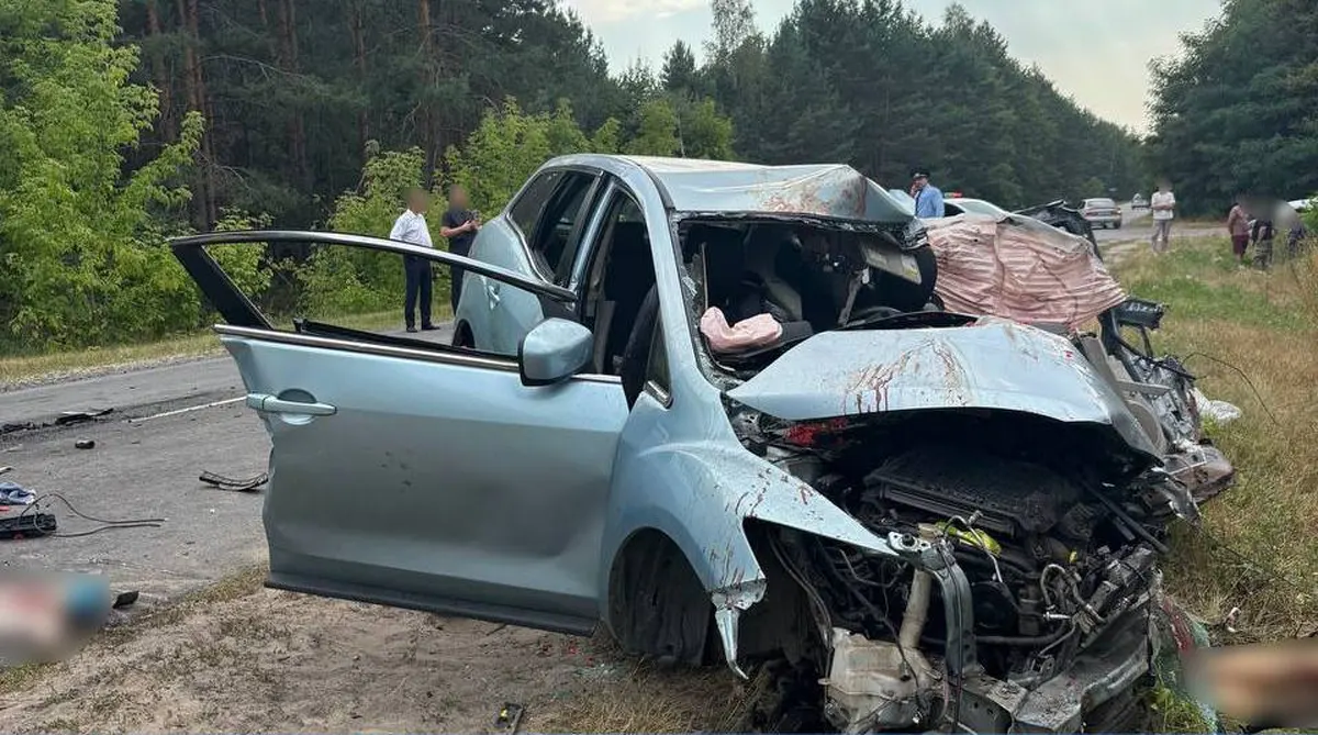 ДТП с грузовиком на Гомельщине: трое погибших, в том числе ребенок