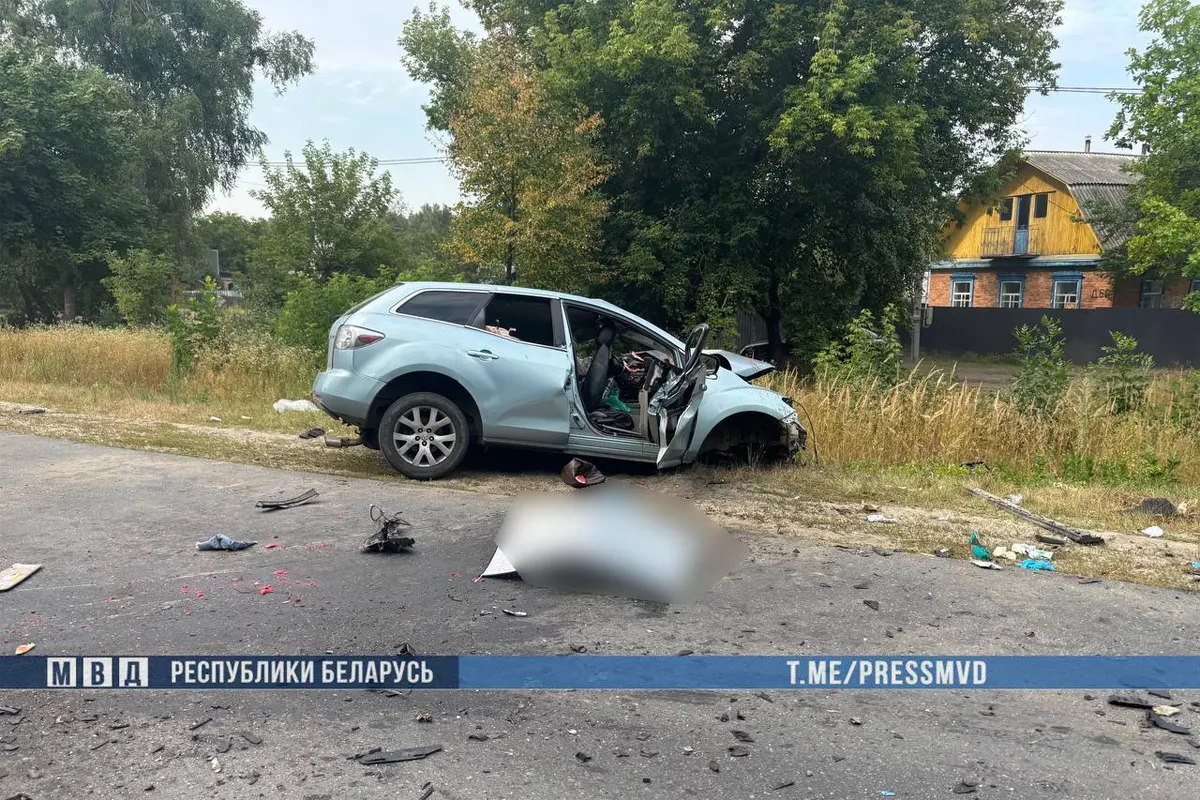ДТП с грузовиком на Гомельщине: трое погибших, в том числе ребенок