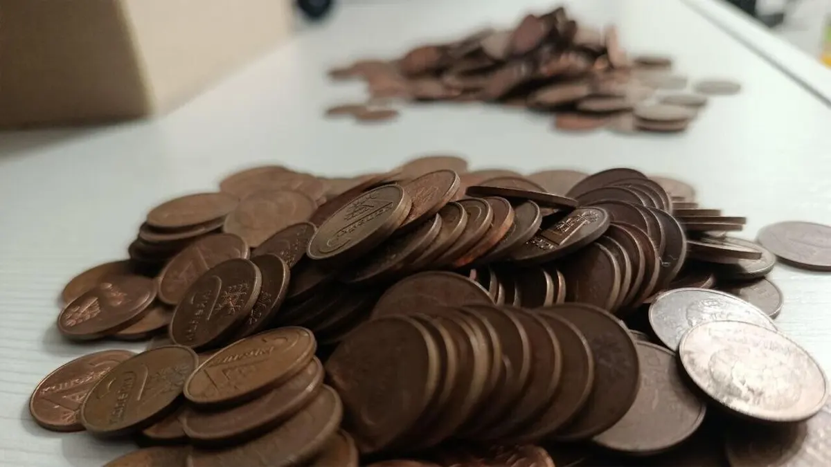 Белорус собирает монеты по 1 и 2 копейки   не ради коллекции